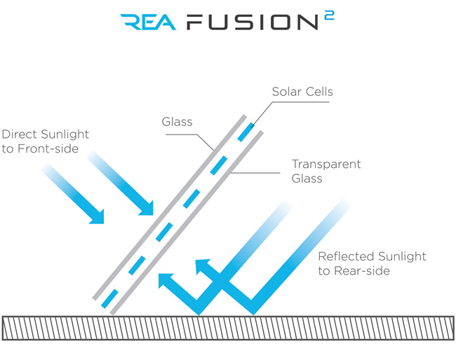 REA FUSION